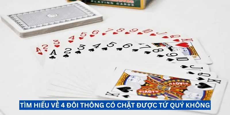 bon-doi-thong-co-chat-duoc-tu-quy-khong